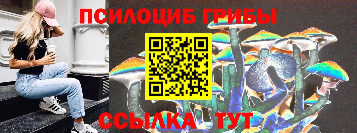 Галлюциногенные грибы Psilocybe Ачхой-Мартан
