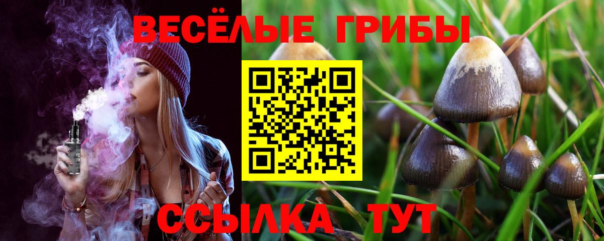 Псилоцибиновые грибы мухоморы  Вход с VPN  Псилоцибиновые грибы Psilocybe  Ачхой-Мартан 